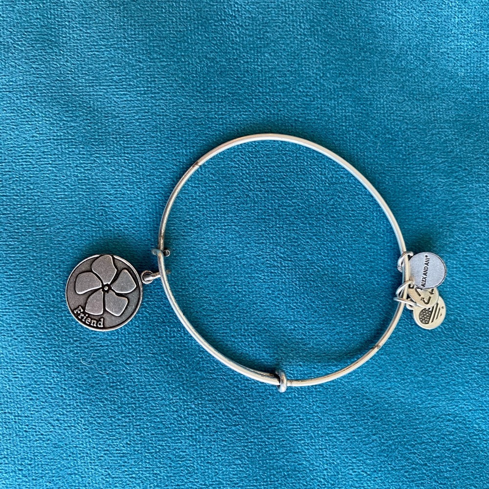 Alex and Ani Silver Bangle